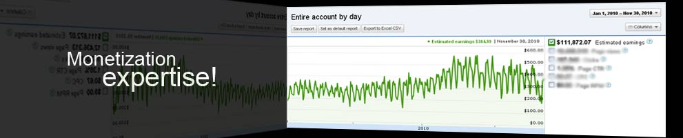 Monetizing Website Traffic