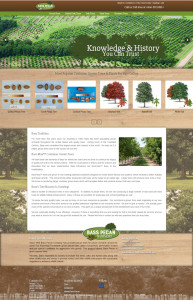 Bass Pecan Trees, Hybrid Oak Trees