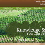 e-Commerce web designer