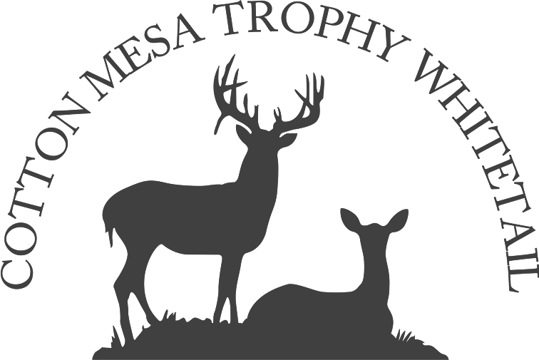 Cotton Mesa Whitetail